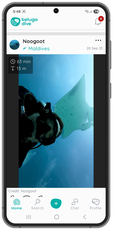 Beluga feed screenshot